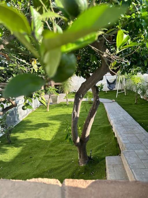 Lamarticata-Likeshome Garden Triscina Exterior photo